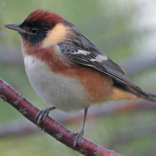 nike air force 270 outfit