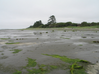 Washington State Parks and Recreation.